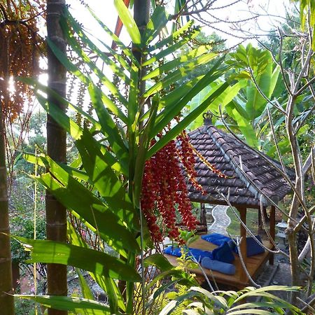 Sananda Bungalow Lovina  Luaran gambar